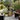 VIK – Woodbox (houtopslag) – Zwart (matte kleur)